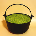 Cauldron Approx 9x6in